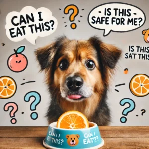 can dogs eat oranges