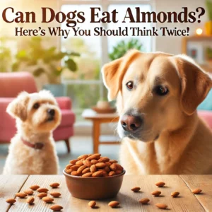 can dogs eat almonds